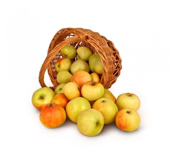 Fruit basket - Imagen 2