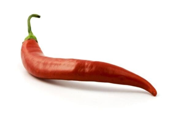 Red hot chilli peppers