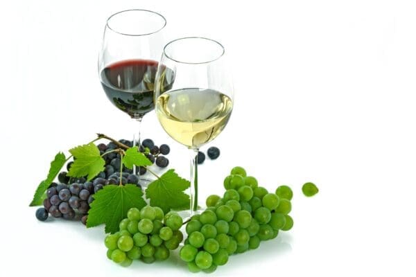 Finest wine - Imagen 2