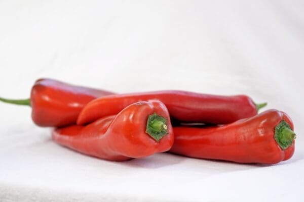 Red hot chilli peppers - Imagen 4